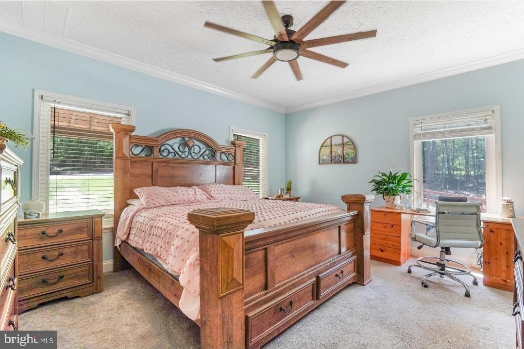 6617 Timberbrook Lane photo 20
