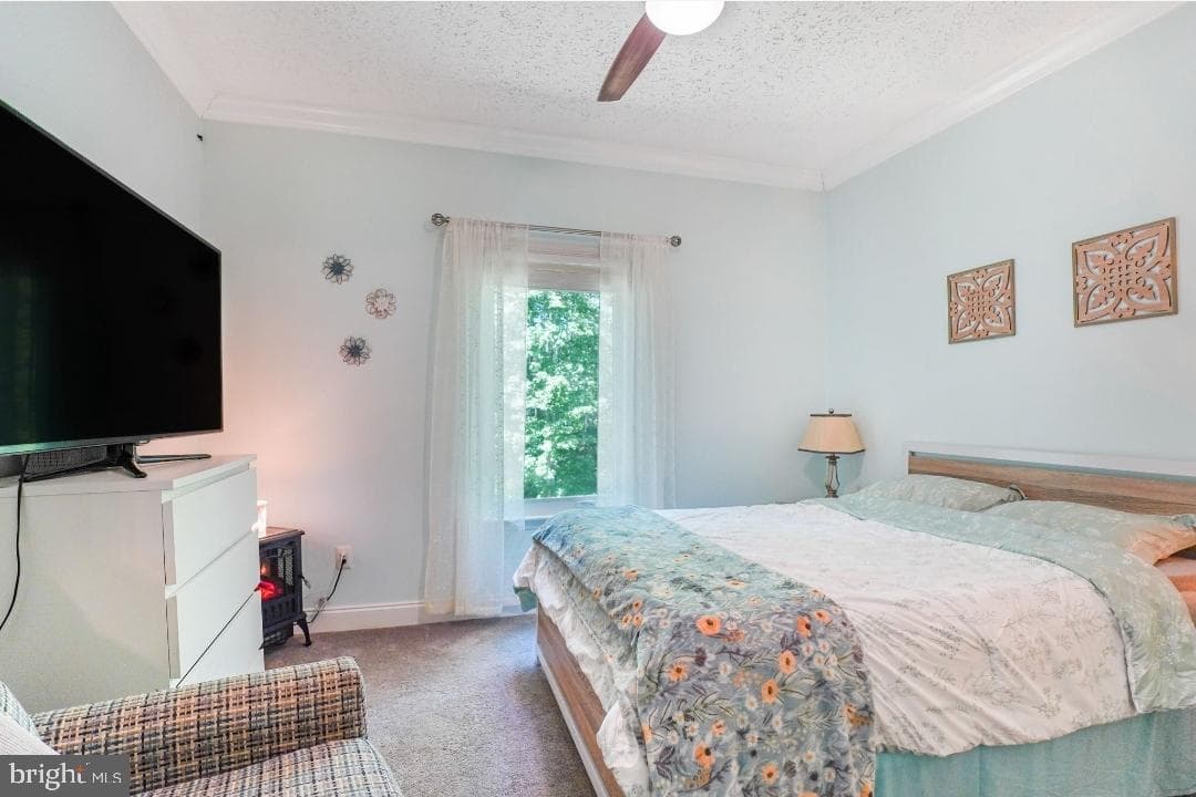 6617 Timberbrook Lane photo 26
