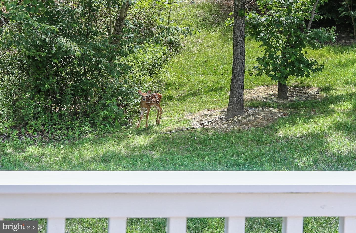 5612 Cedar Mountain Court photo 41