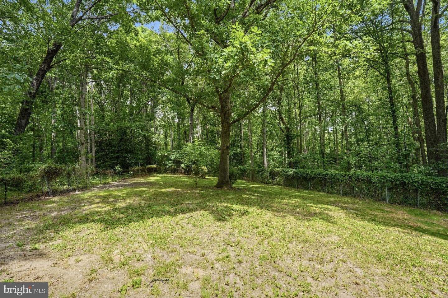 7607 Nyland Road photo 48