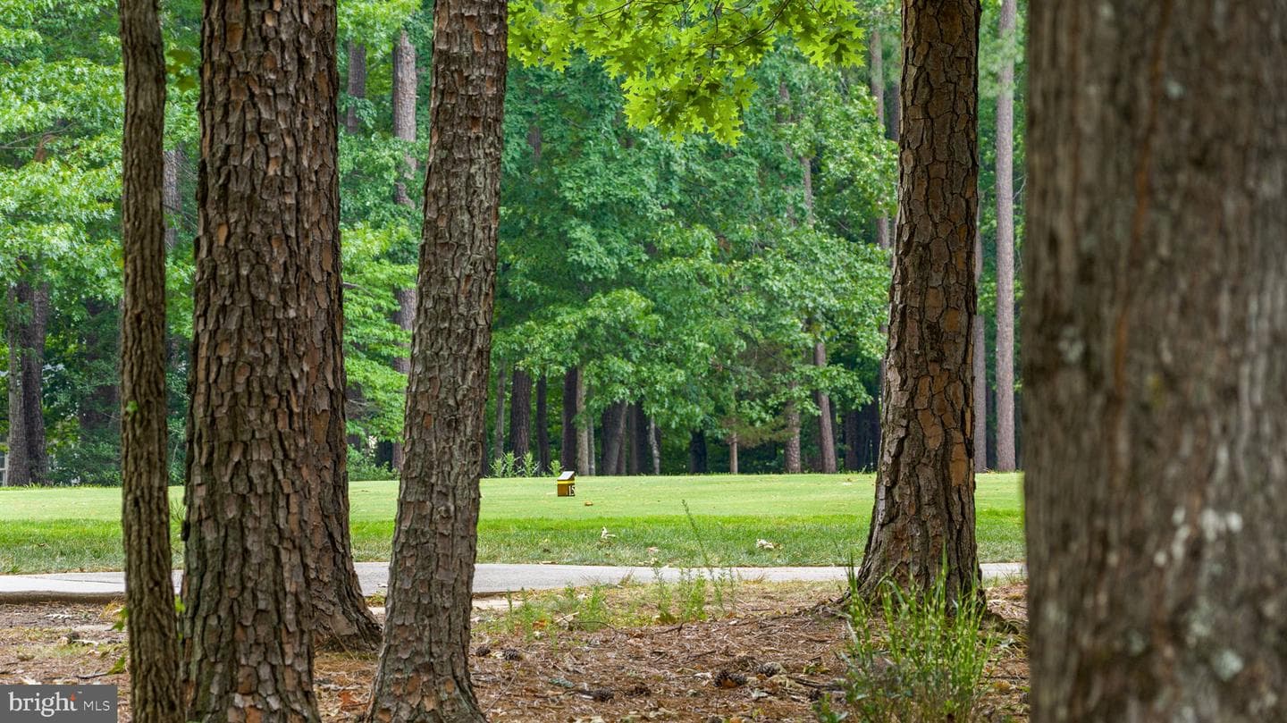 10604 Chatham Ridge Way photo 88