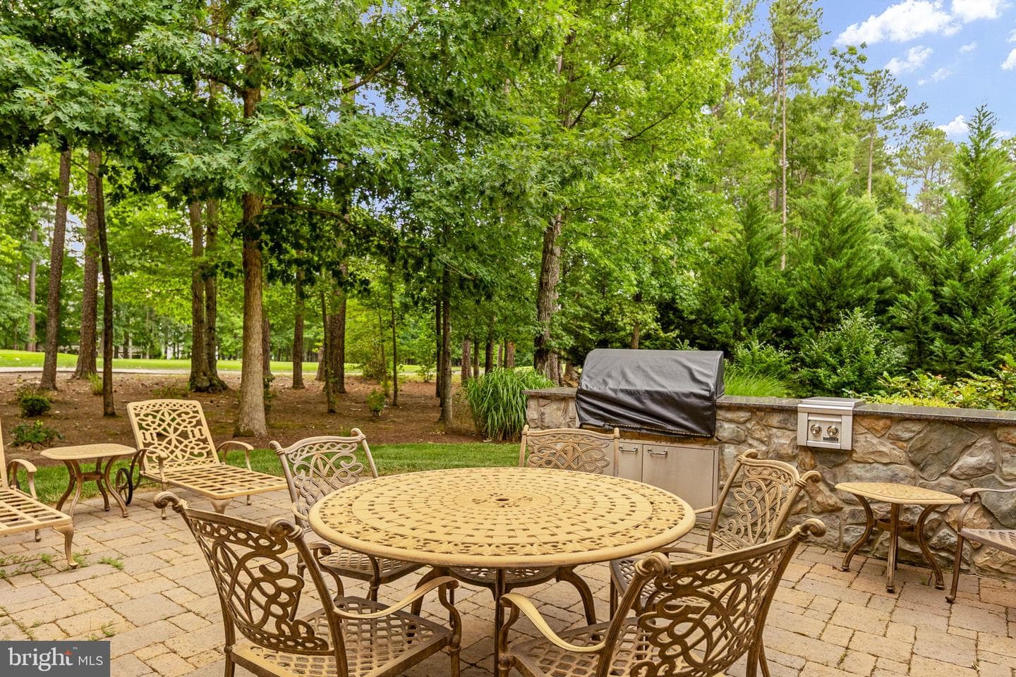 10604 Chatham Ridge Way photo 96