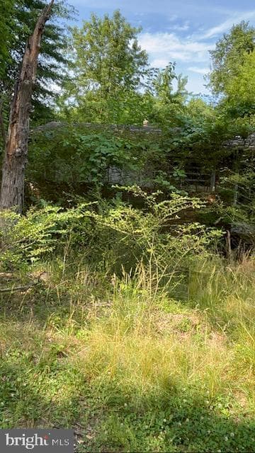 10528 Coles Lane photo 2