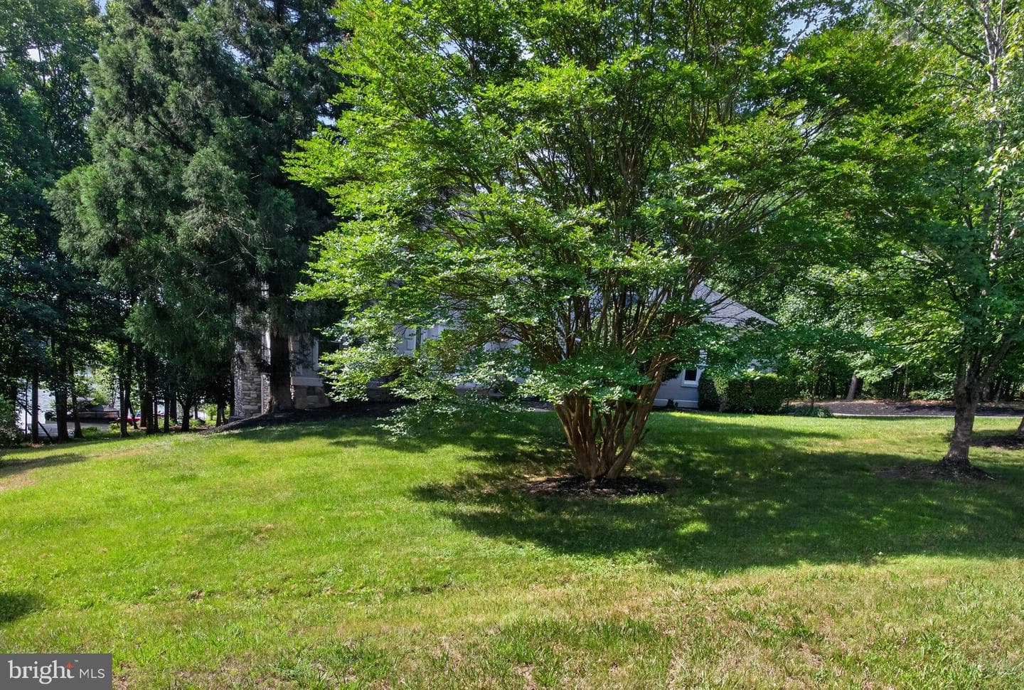 10712 Perrin Circle photo 6
