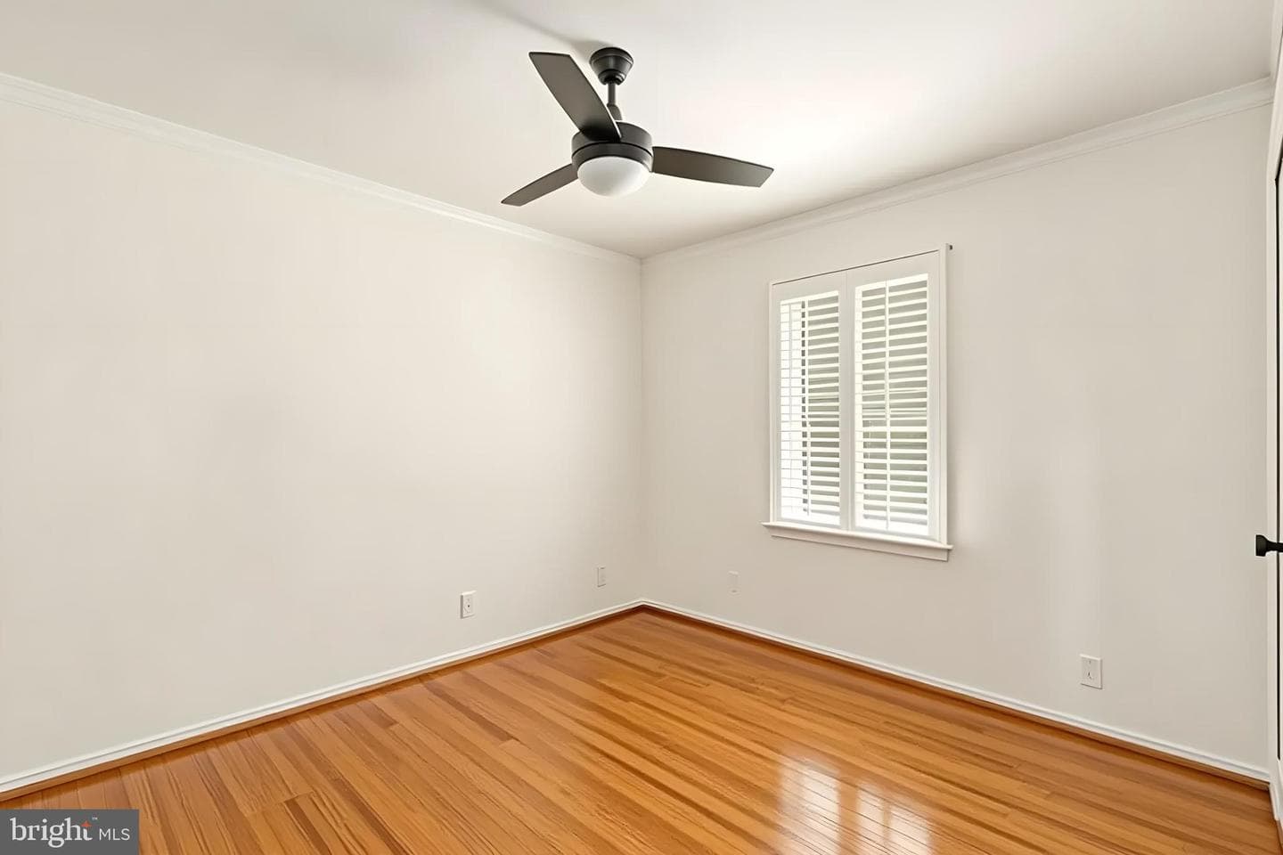 10107 Leavells Road photo 30