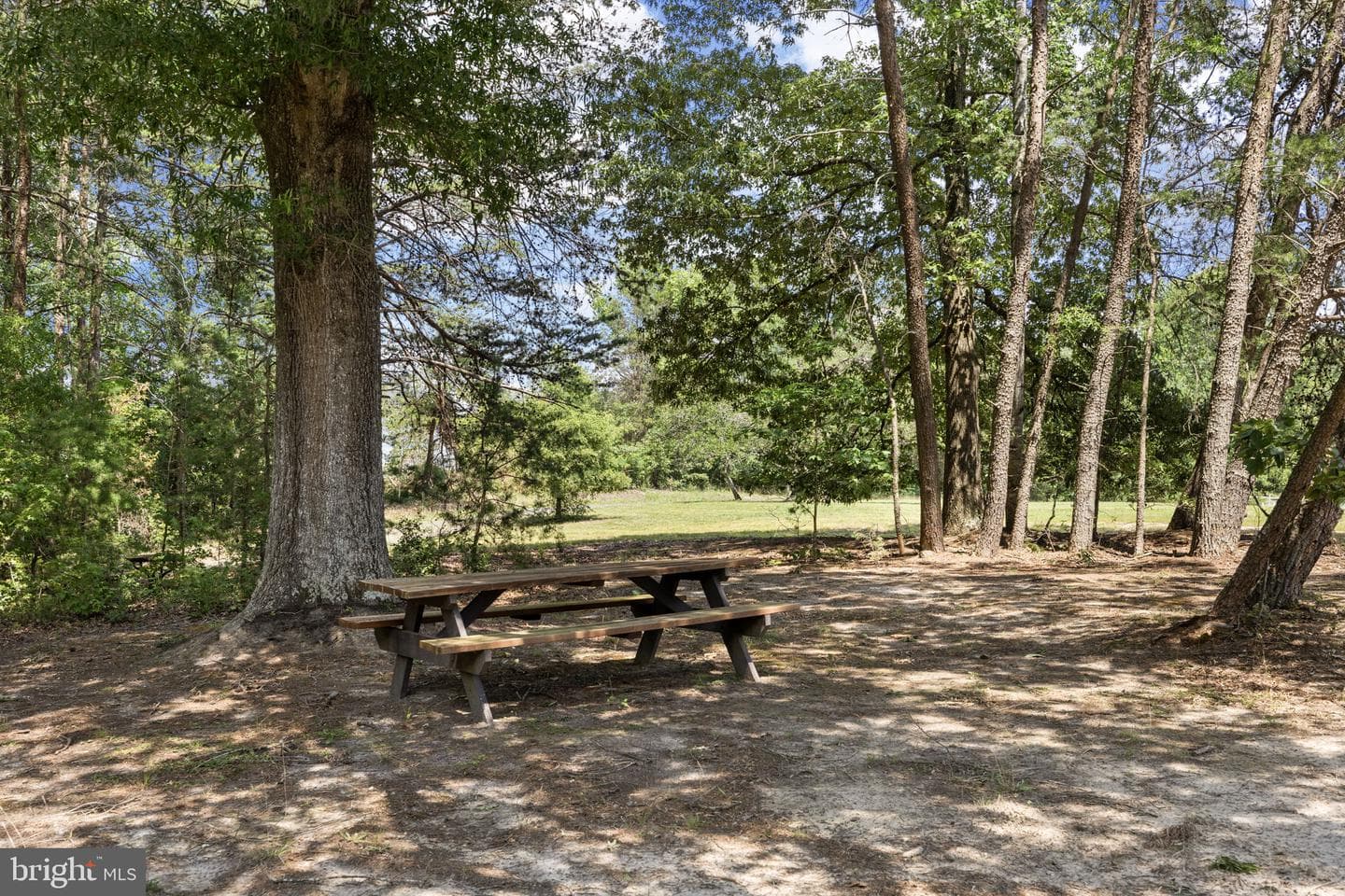 7409 River Road photo 74