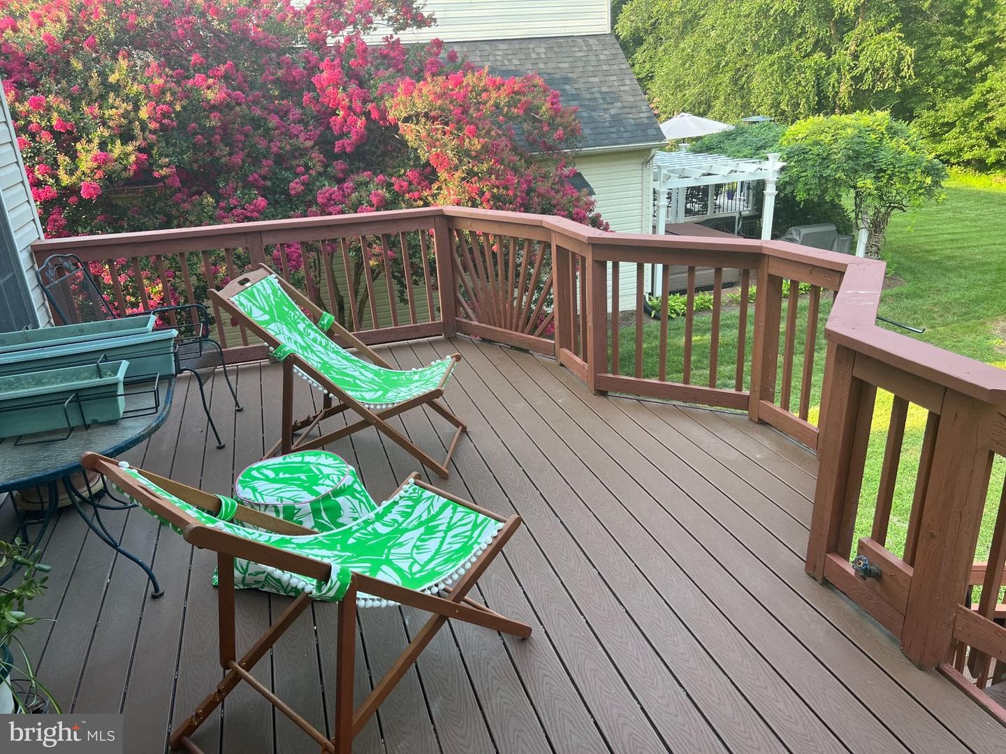 10111 Mindy Court photo 16