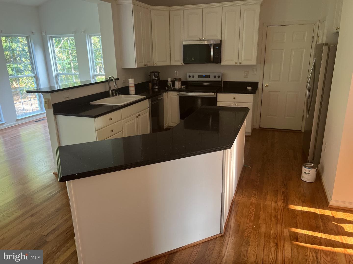 10111 Mindy Court photo 8