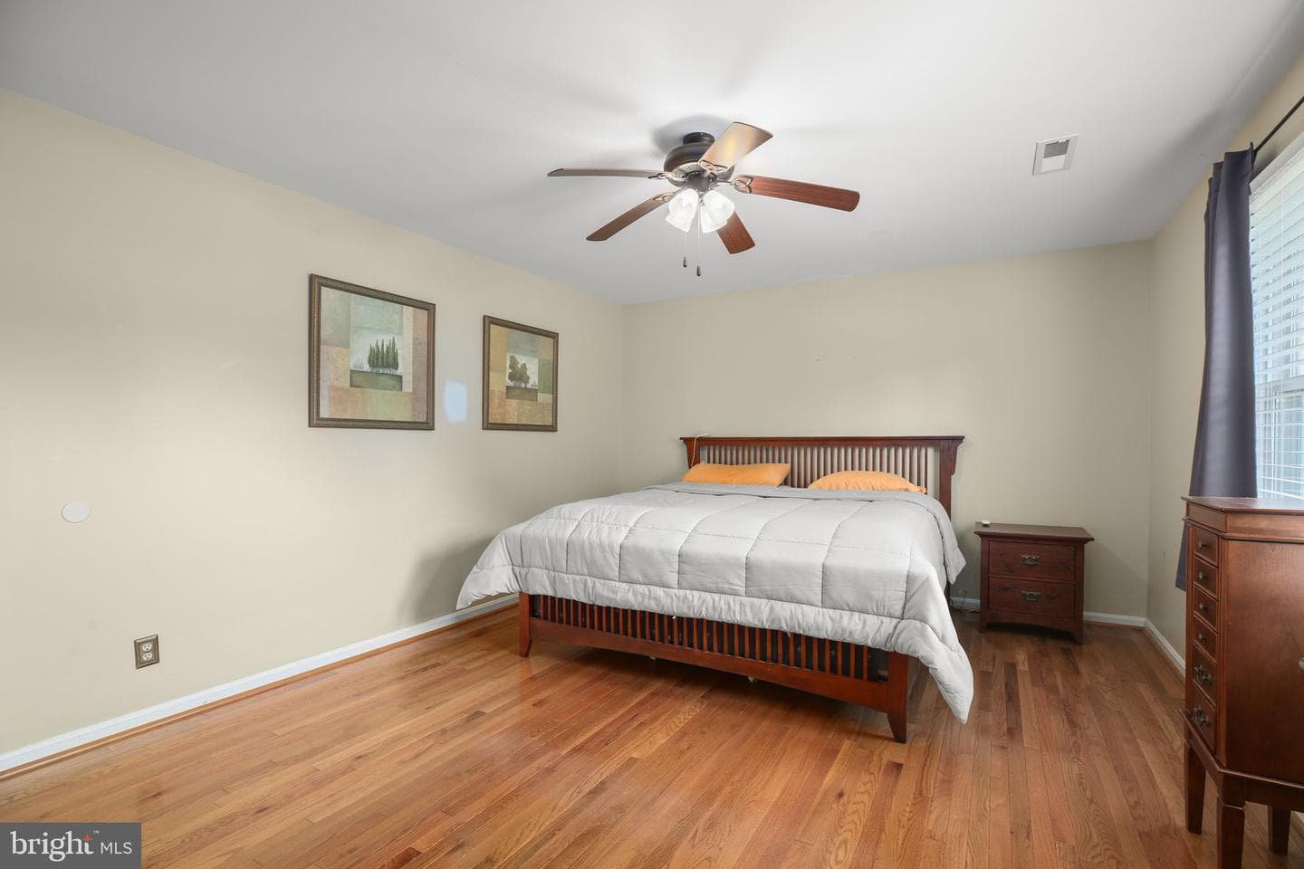 800 Shamrock Drive photo 18