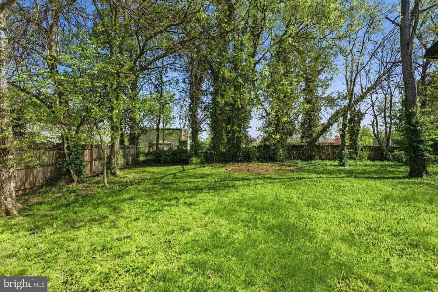 179 Mansfield Street photo 11