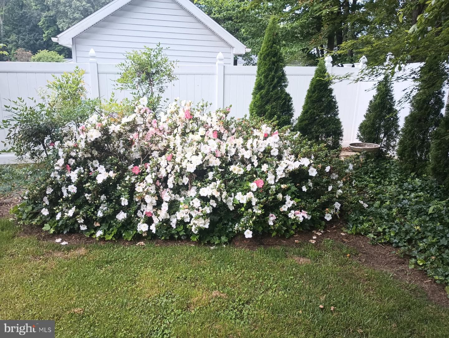 8 Pond Circle photo 5