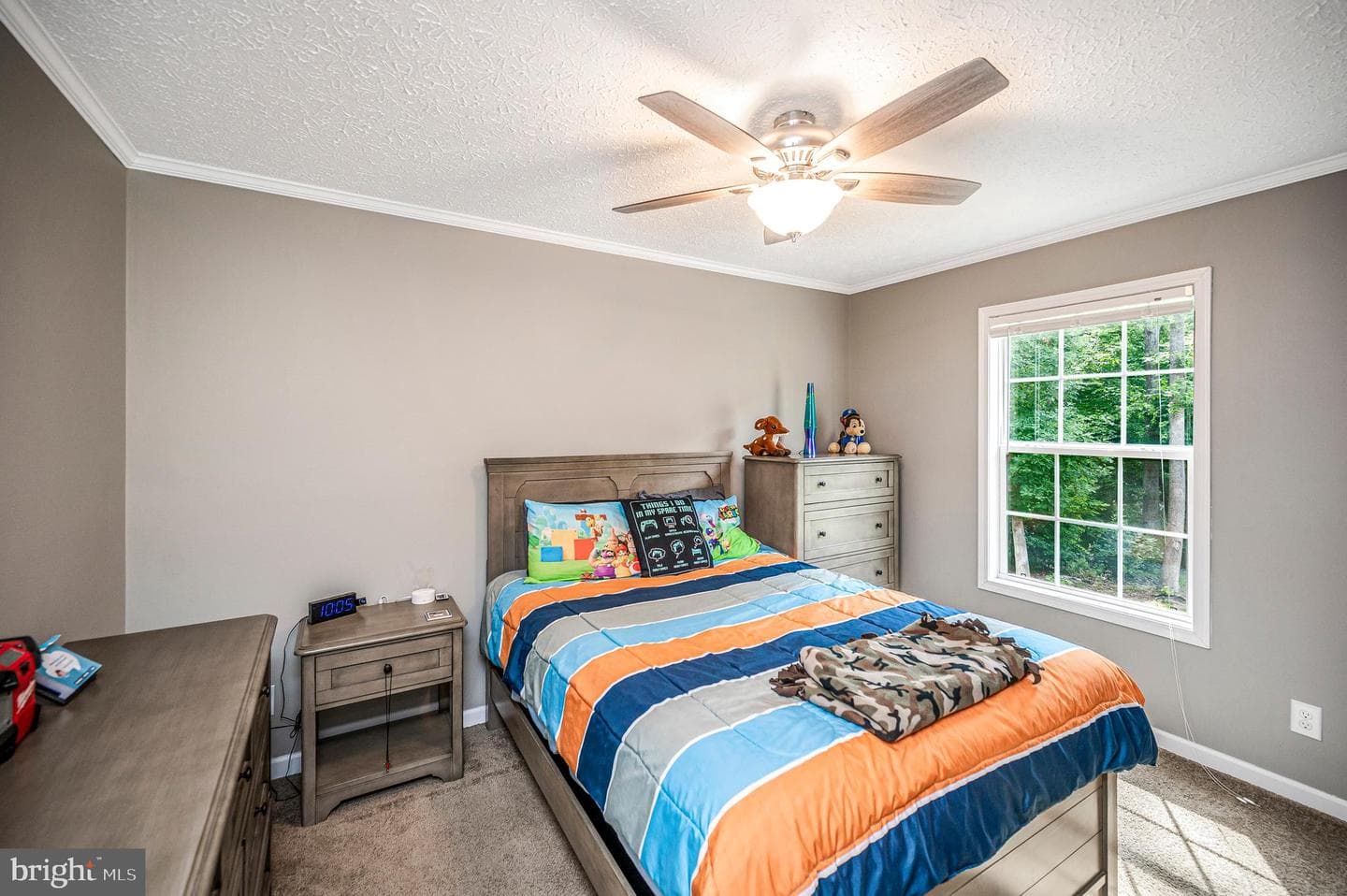 7324 Red Feather Lane photo 26