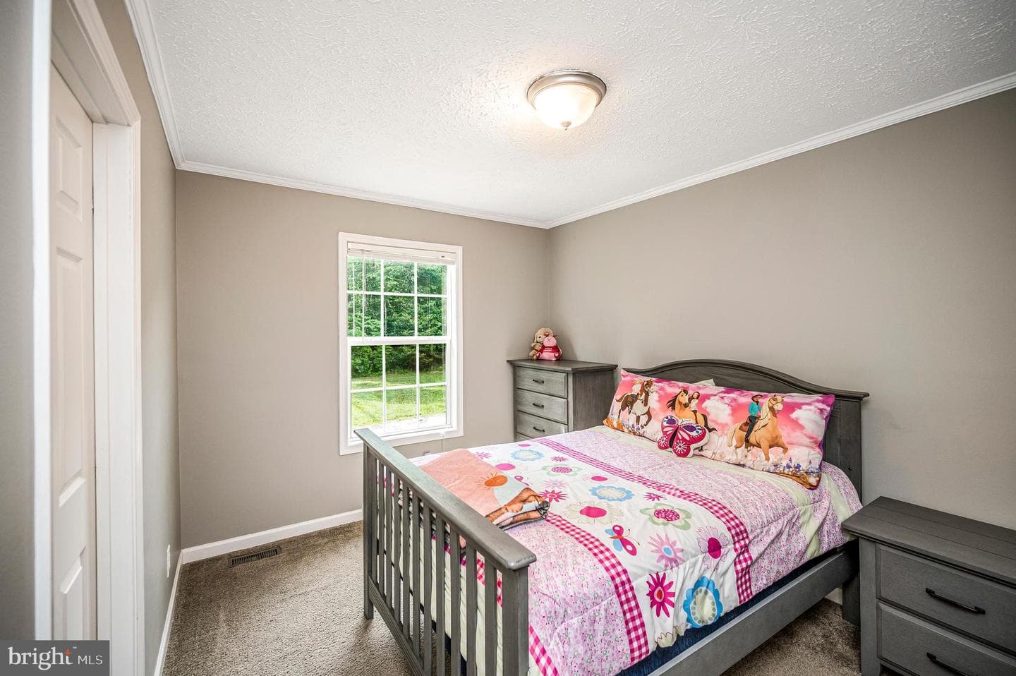 7324 Red Feather Lane photo 46