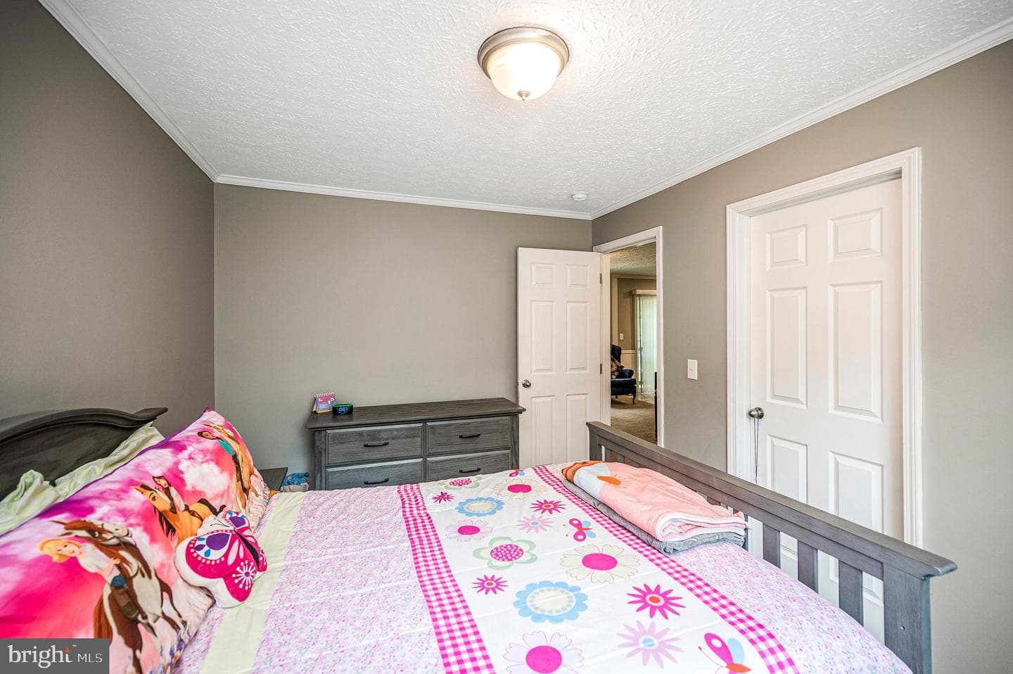 7324 Red Feather Lane photo 47