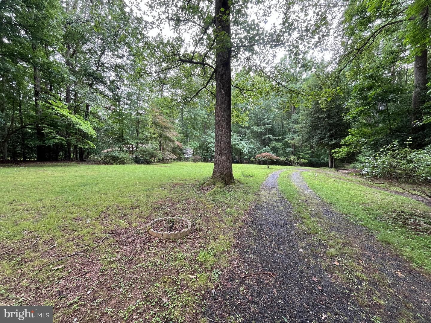 9809 Peppertree Road photo 3