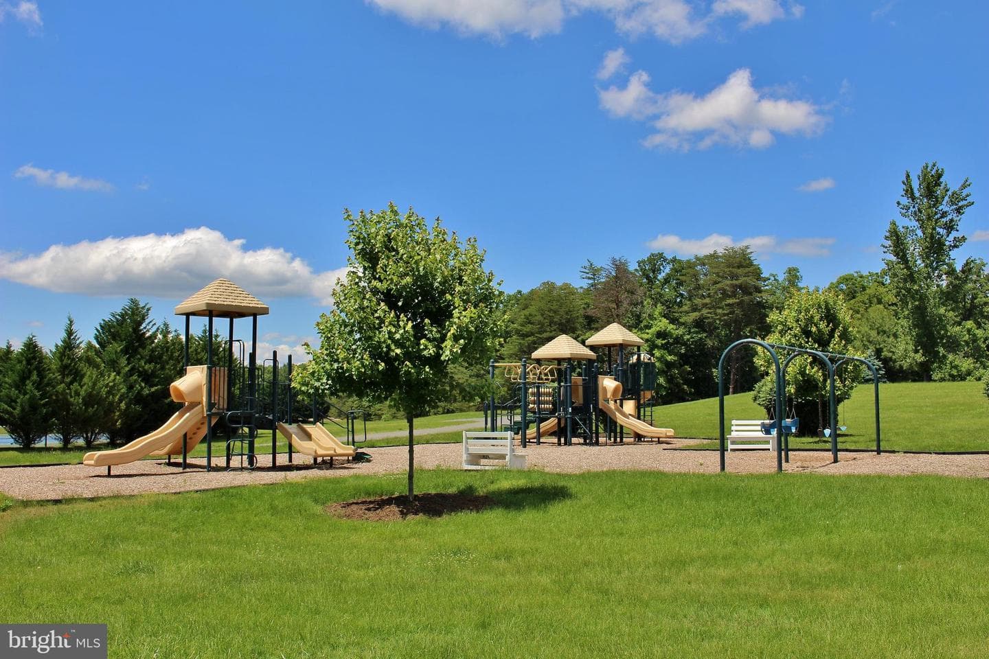 11428 Osprey Trail photo 57