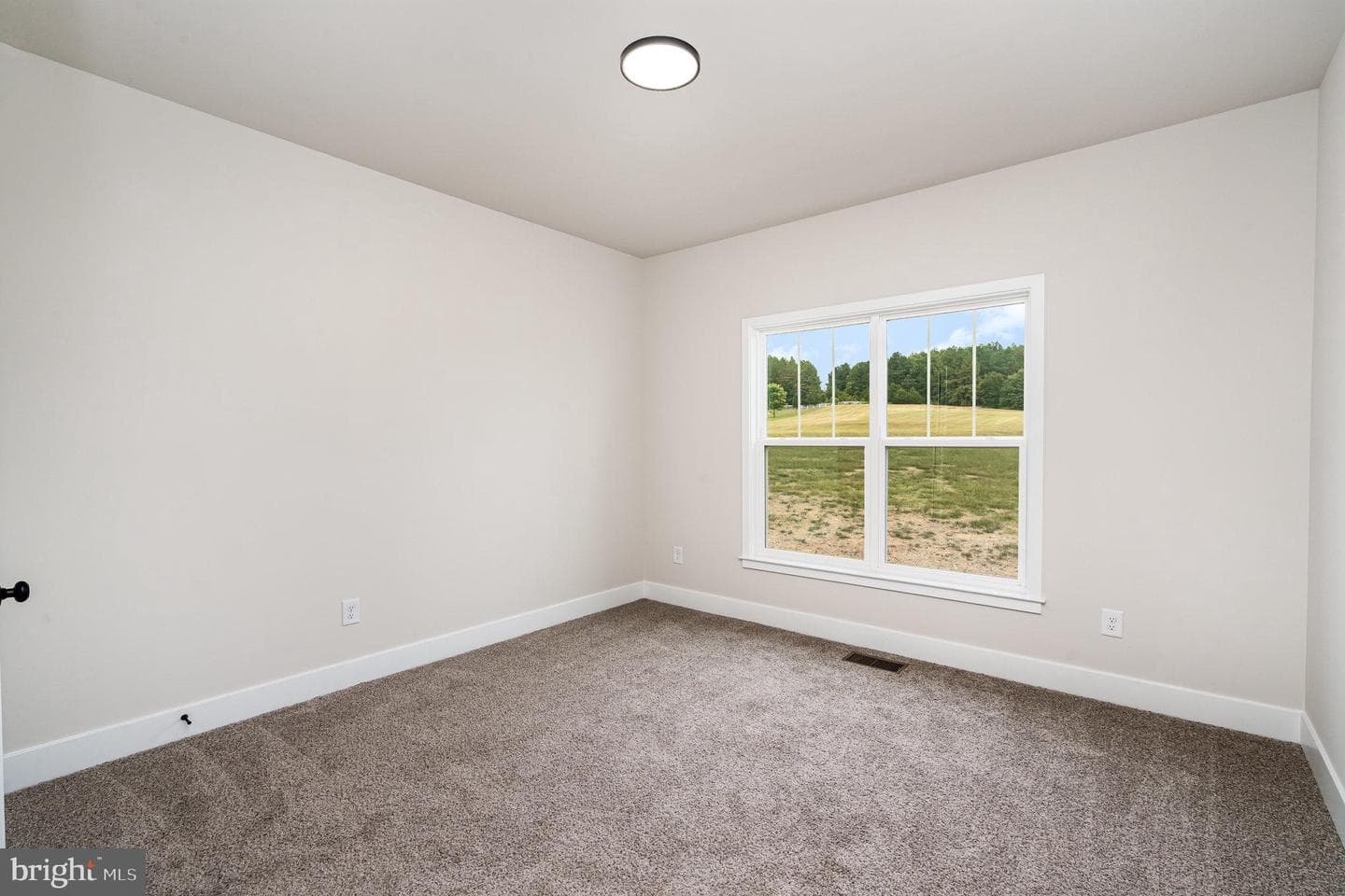 11585 Forest Walk Drive photo 25