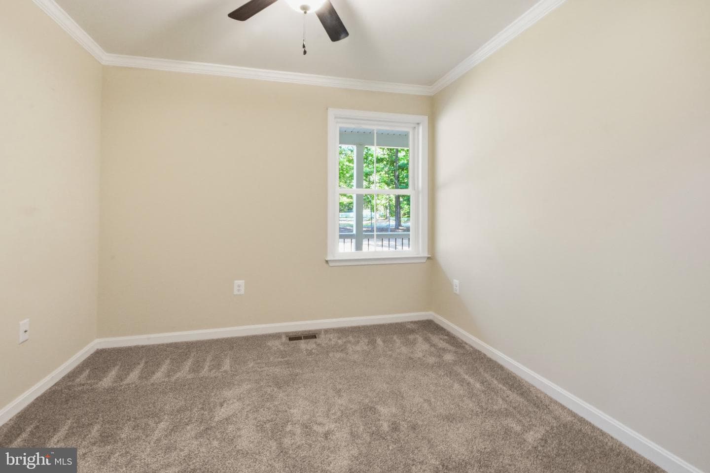 7401 Stubbs Bridge Road photo 20
