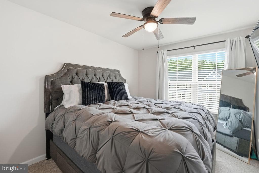 6927 Braxton Springs Way photo 23