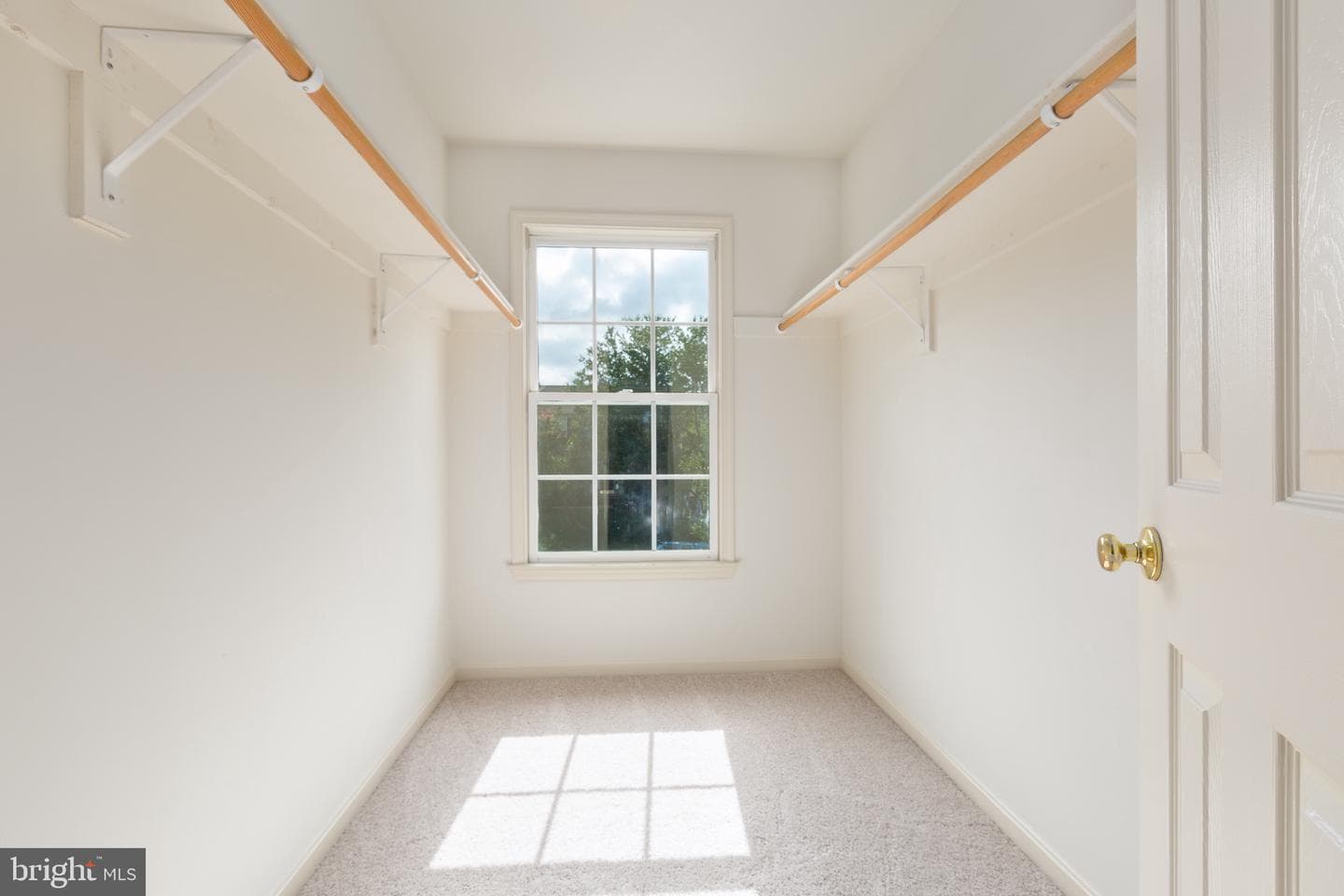 3514 Carlyle Court photo 29