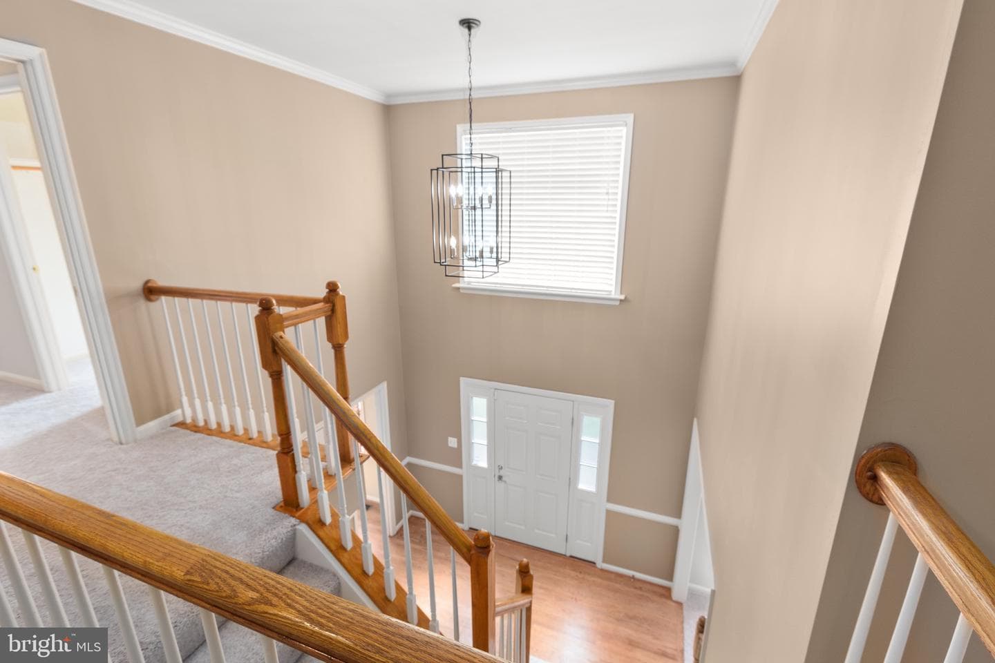 3514 Carlyle Court photo 37