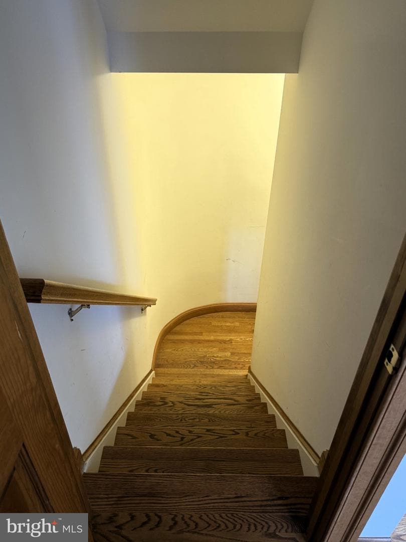 5404 Bazzanella Drive photo 104