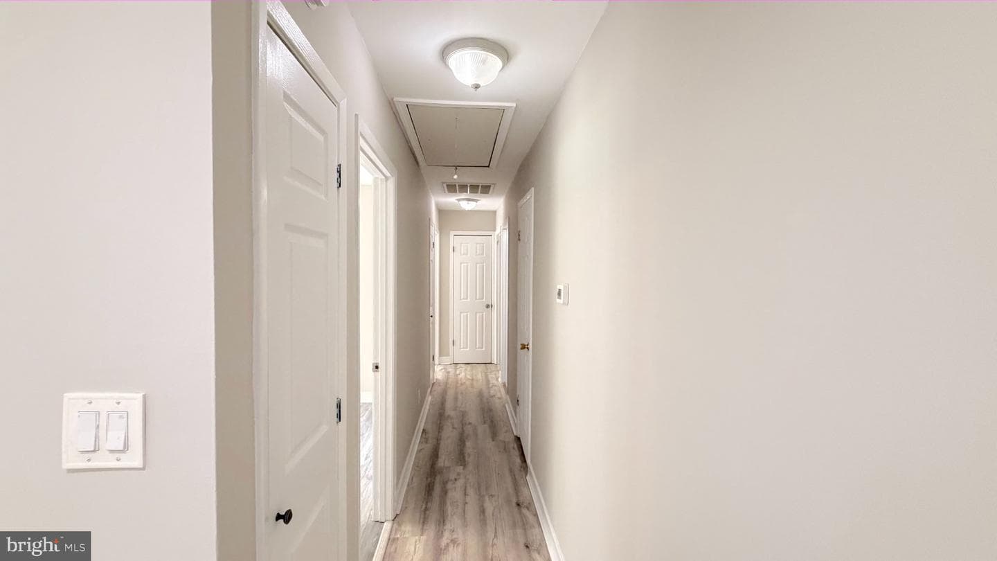 304 Albany Street photo 10