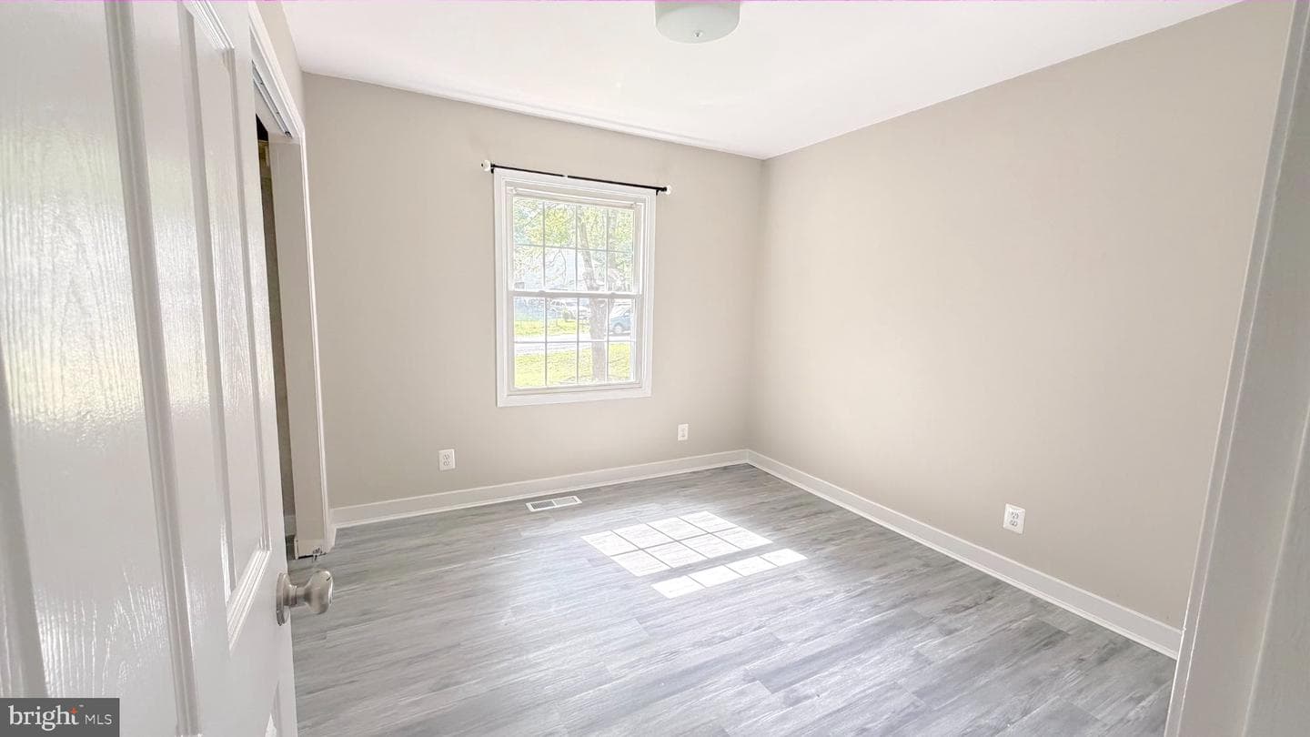 304 Albany Street photo 17