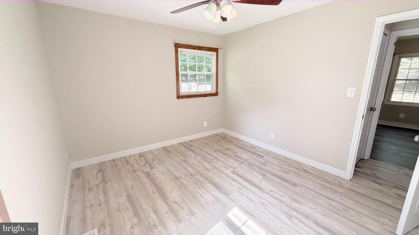 304 Albany Street photo 22