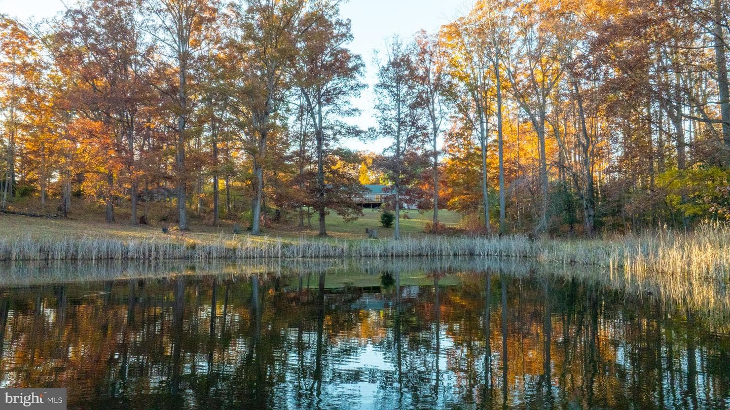 10325 Mill Pond Road photo 64