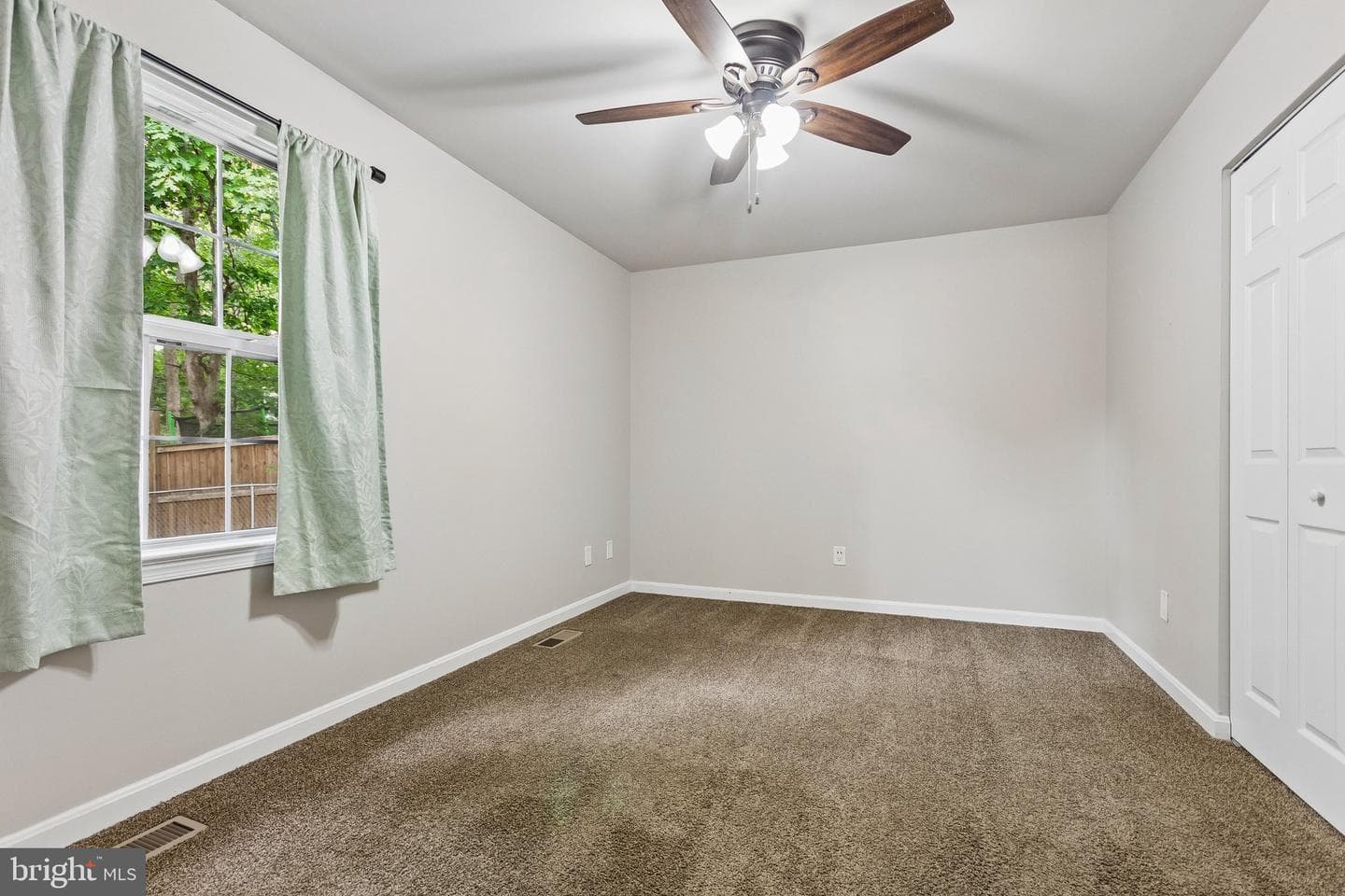 343 Albany Street photo 15