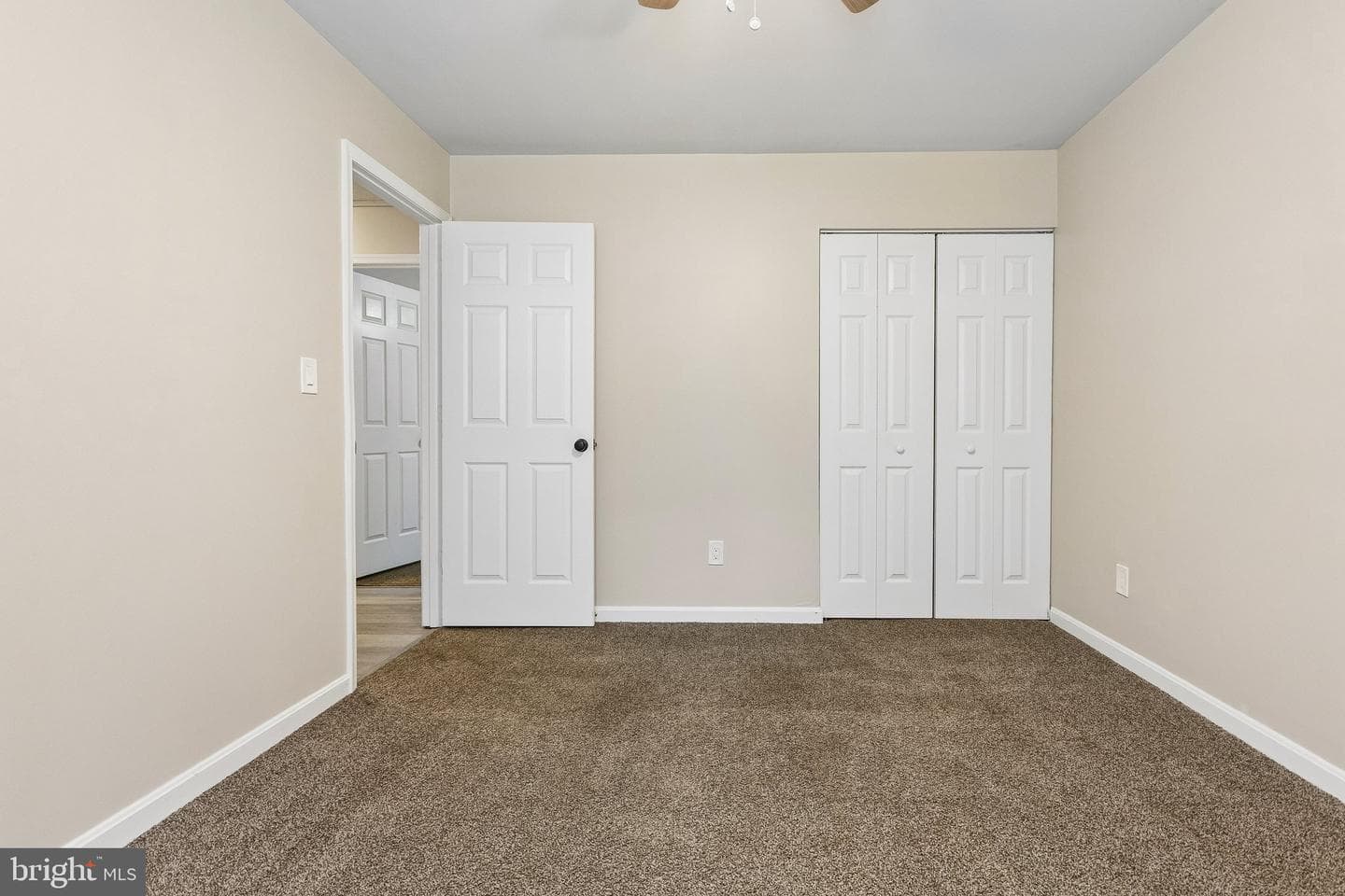343 Albany Street photo 18