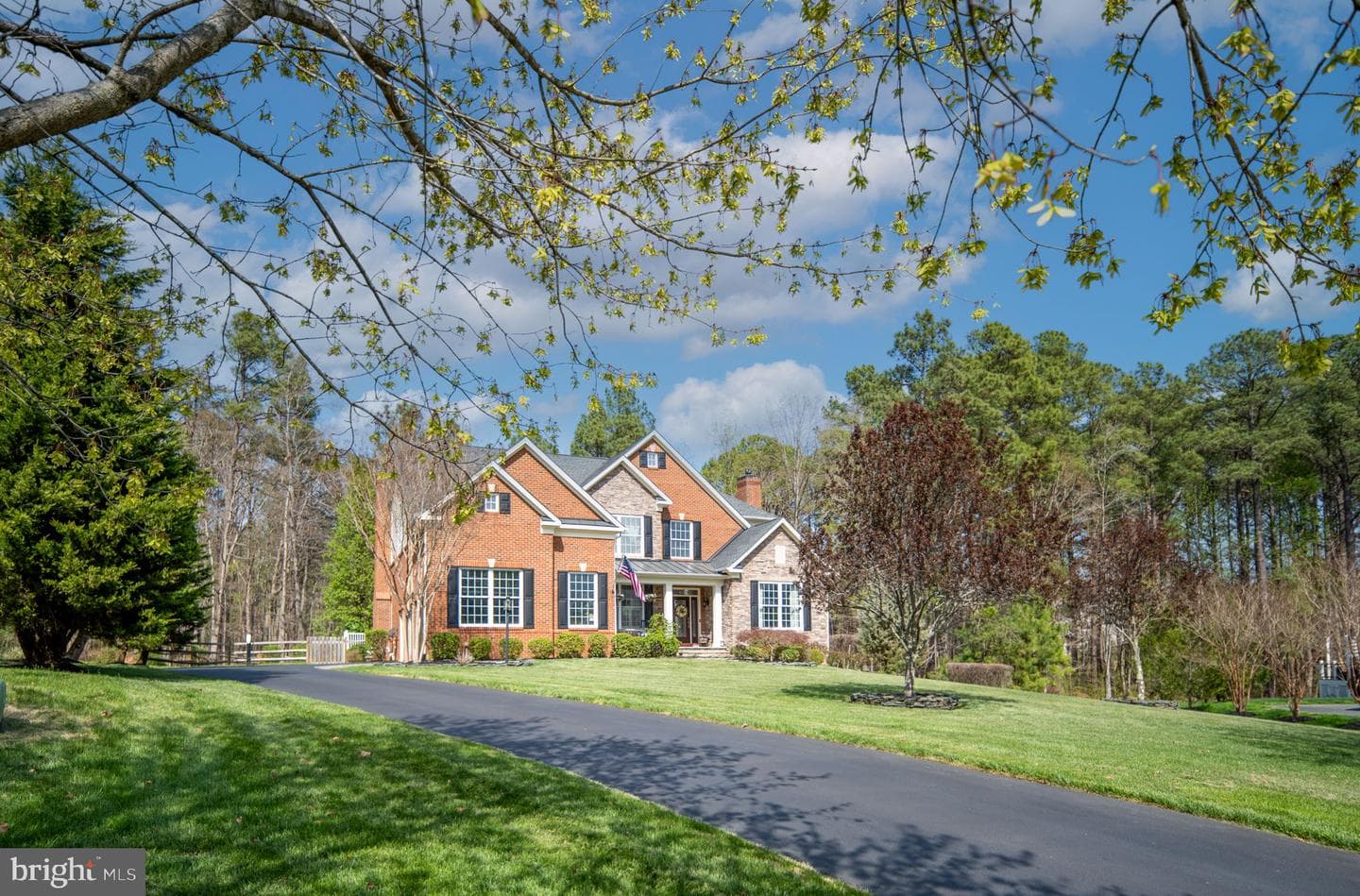 11613 Pine Hollow Lane photo 5