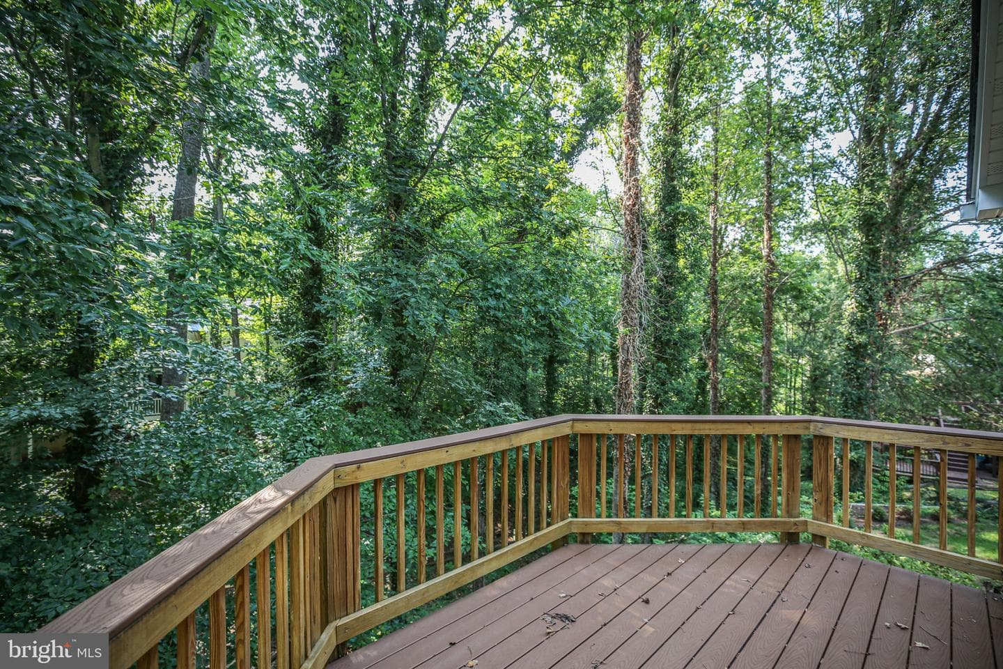 9712 Gunston Hall Road photo 31