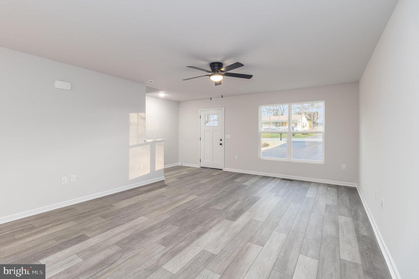 215 Mansfield Street photo 6