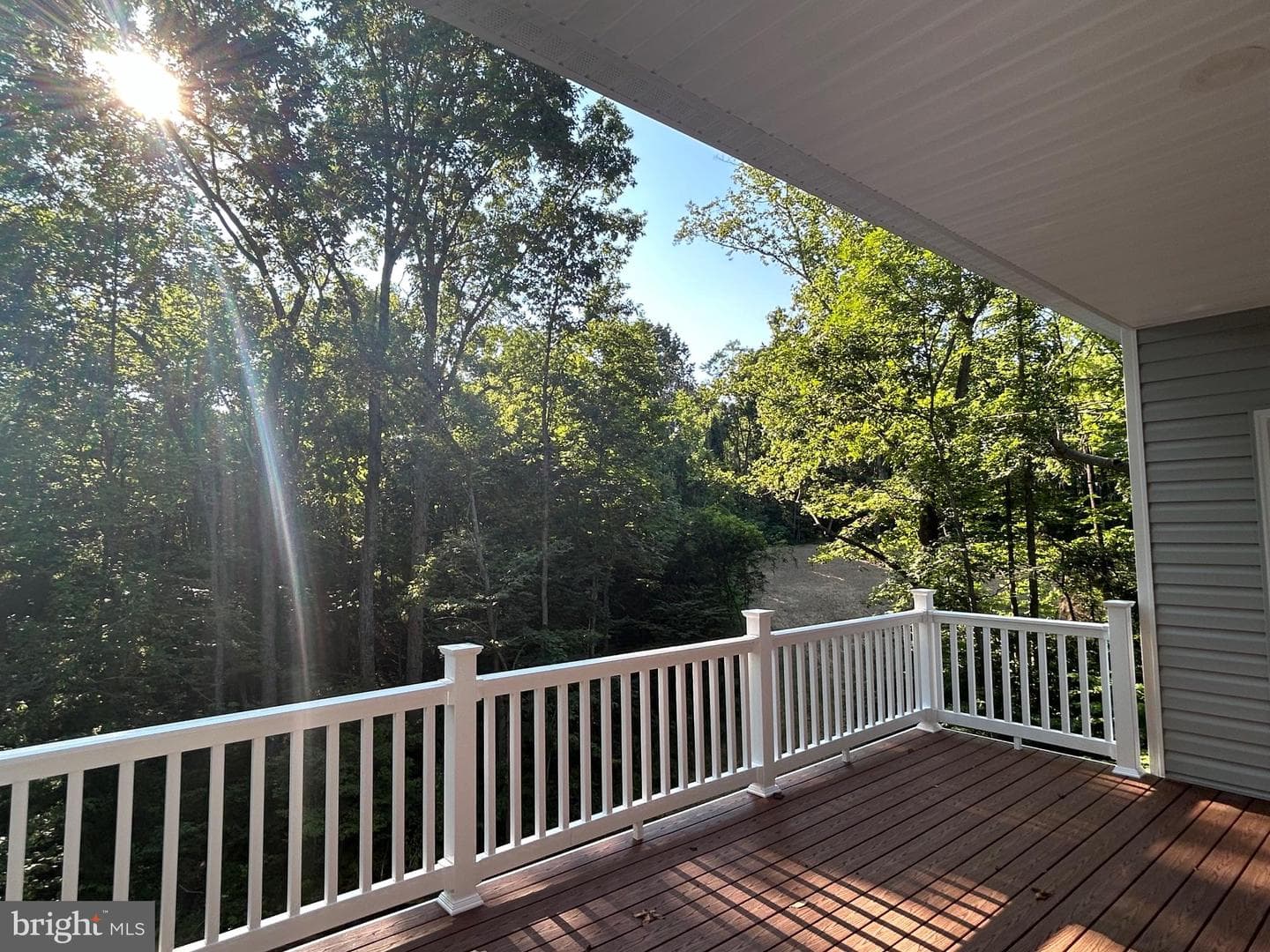 6313 Chickahominy Court, Orange