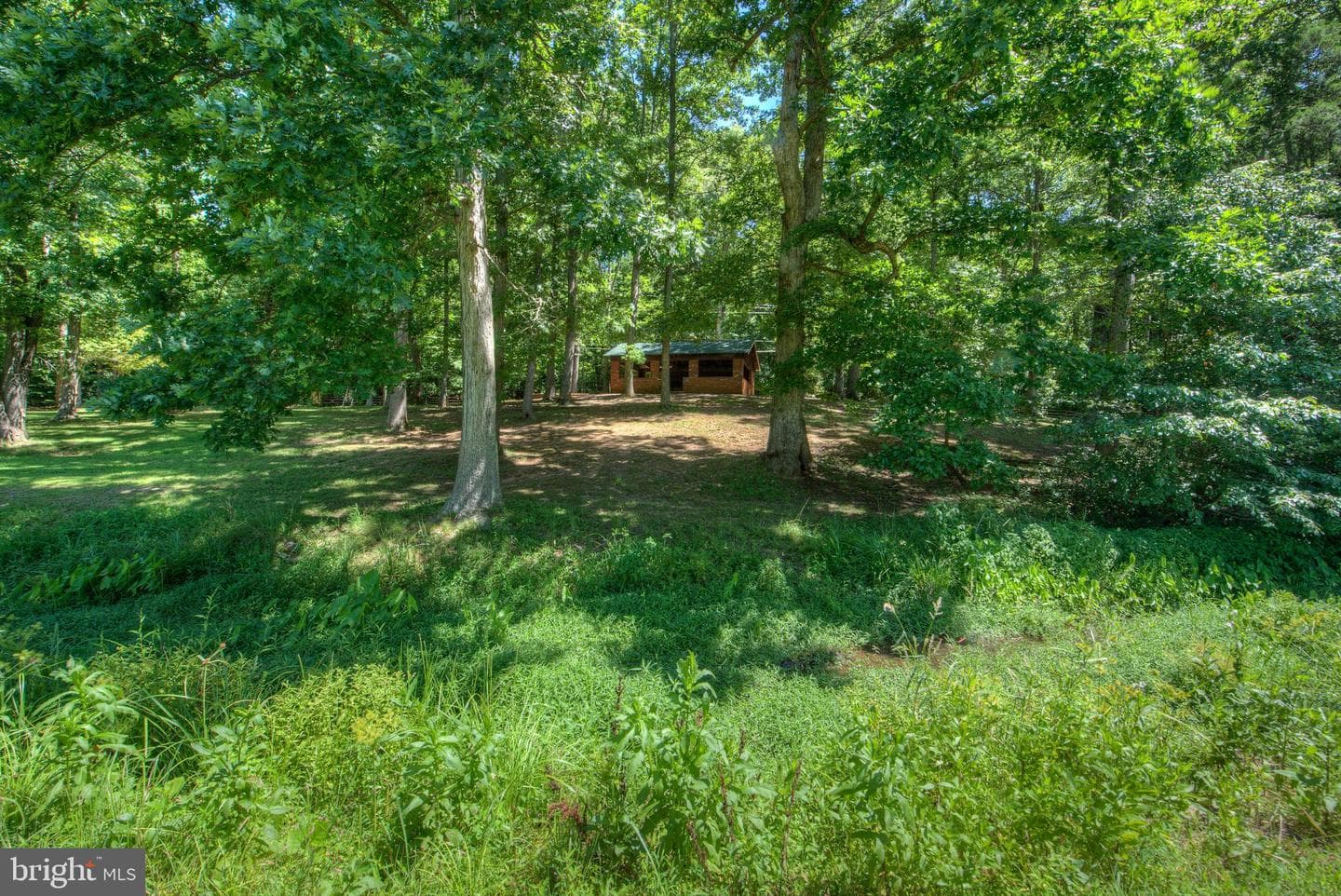 12400 Salient Lane photo 37