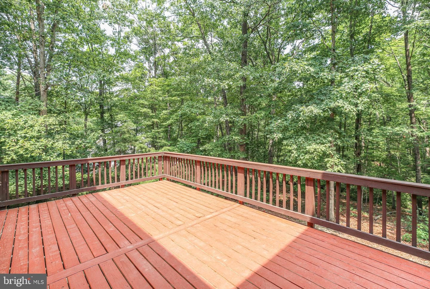 8613 Laroque Run Drive photo 37