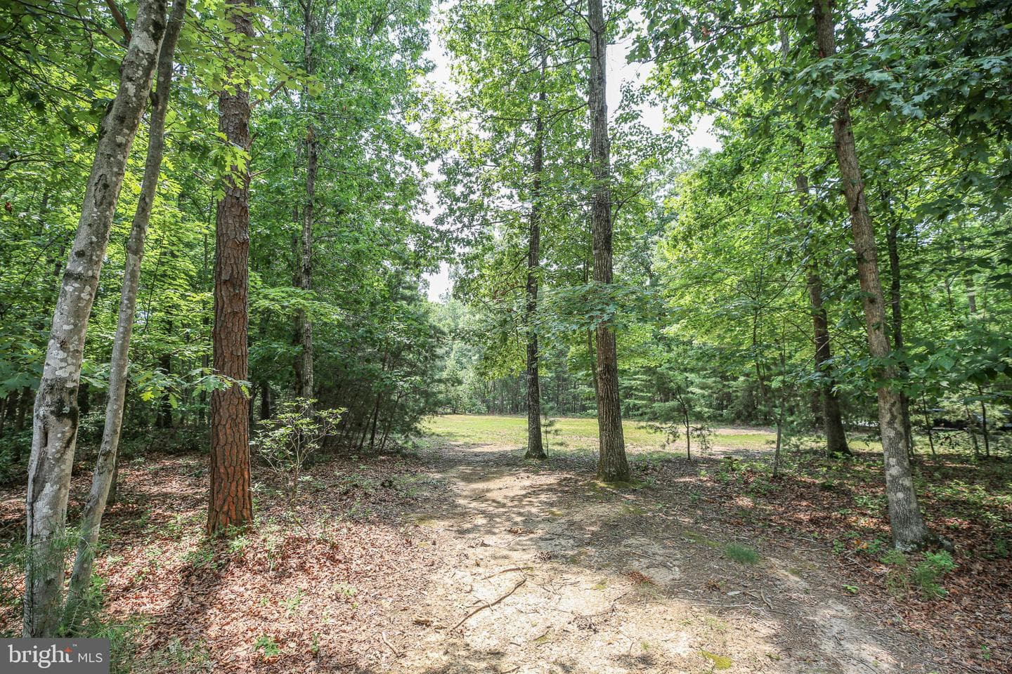 8613 Laroque Run Drive photo 44