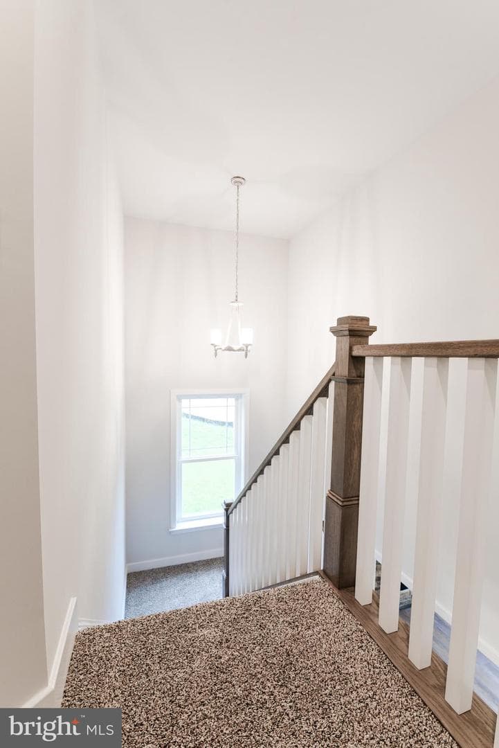 3 Quarry Road photo 35