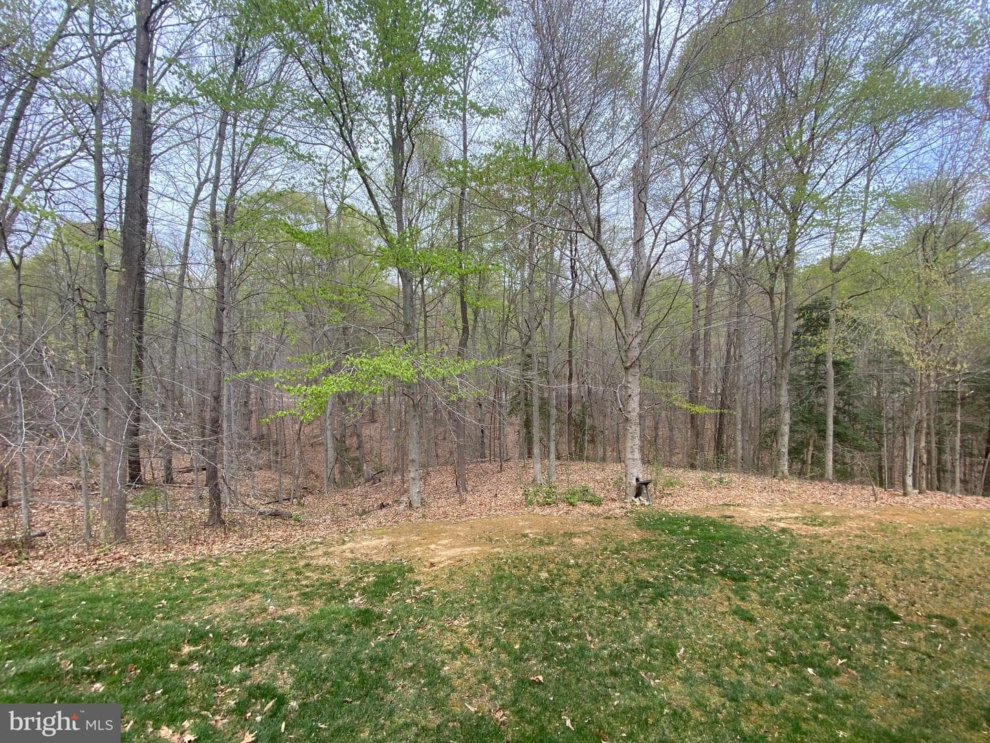 76 Millbrook Rd photo 49