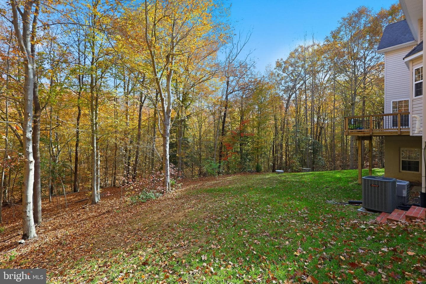 76 Millbrook Rd photo 50