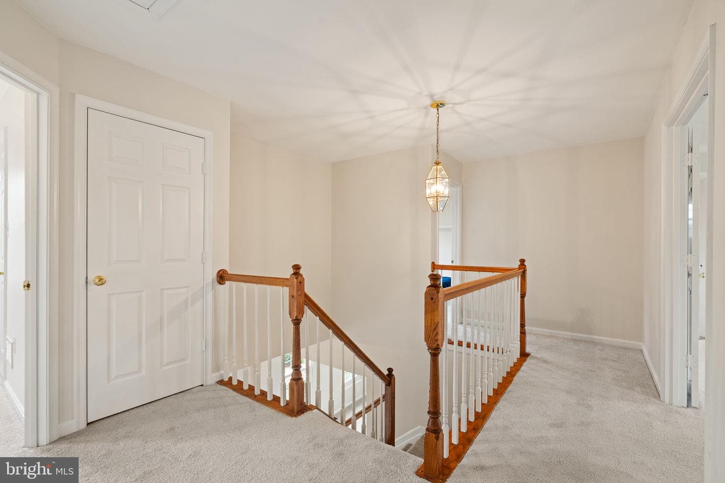 38 Blossom Wood Court photo 19