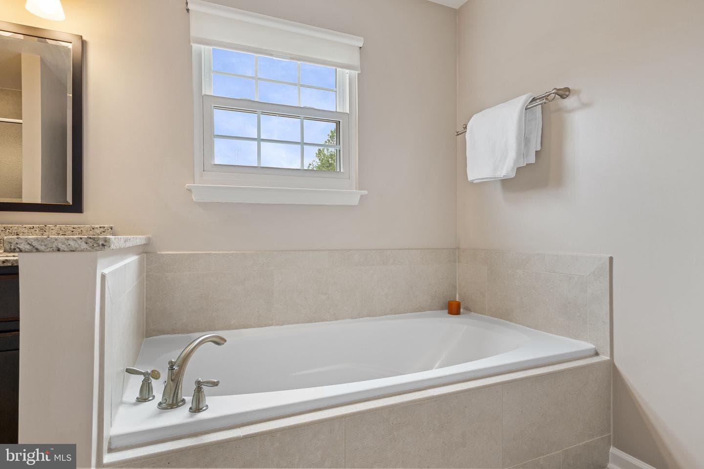 38 Blossom Wood Court photo 21