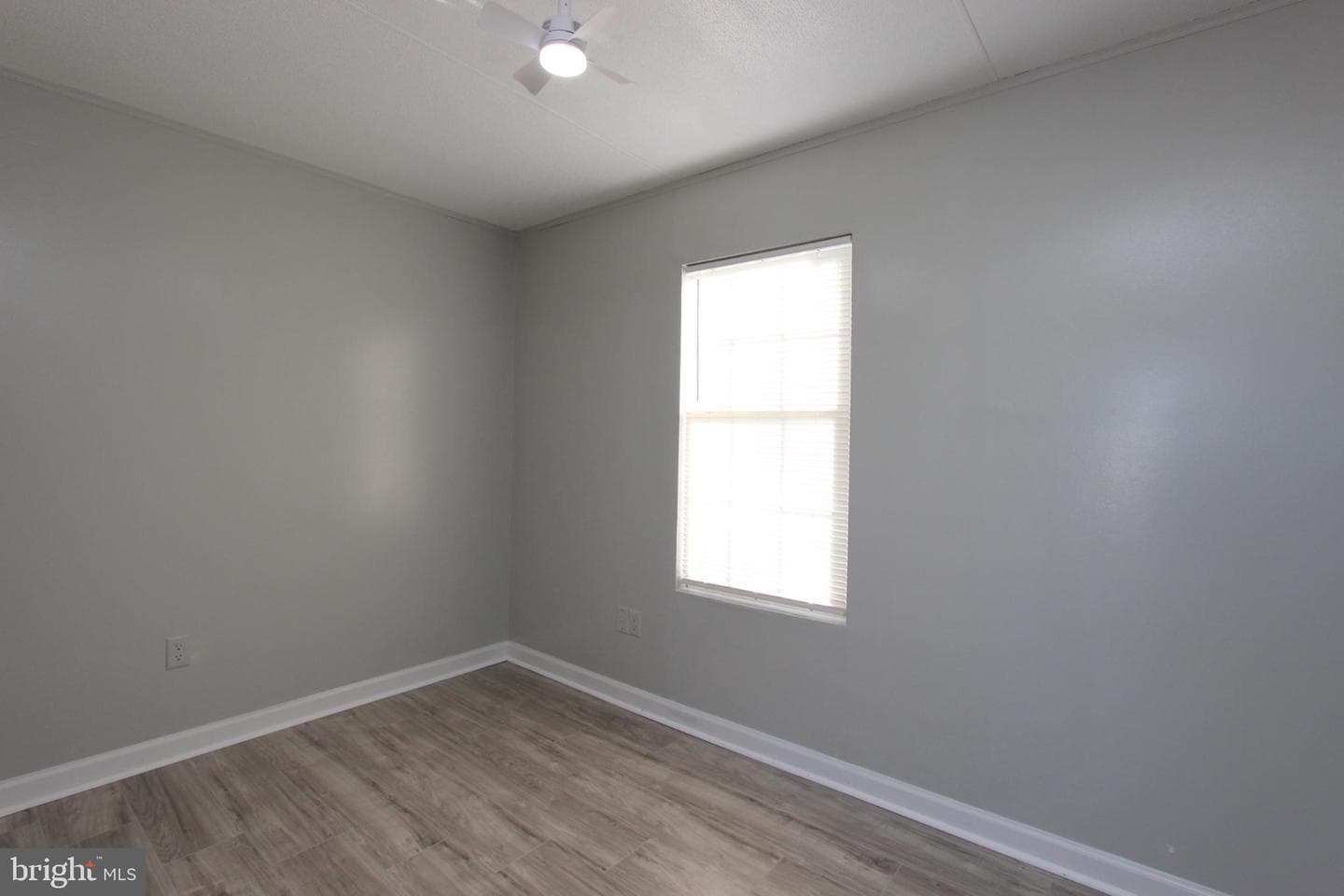 18 Mary Drive photo 21