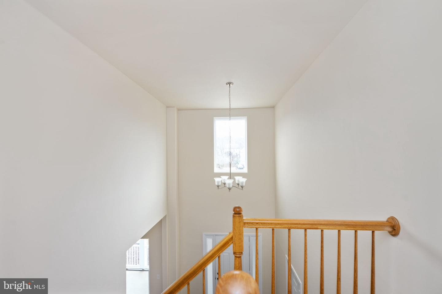8 Newport Court photo 52