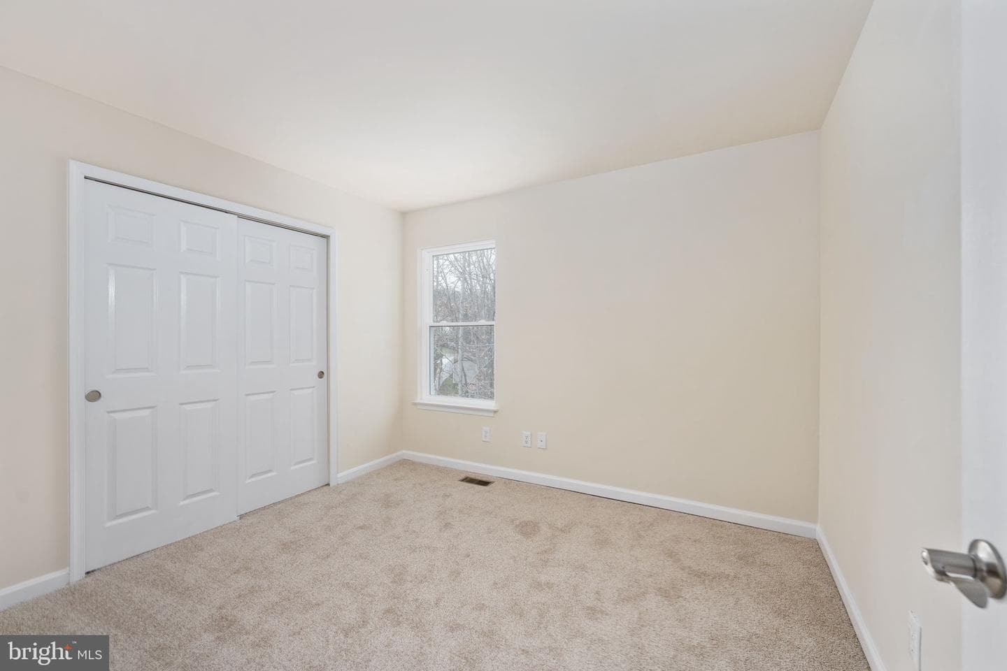 8 Newport Court photo 56