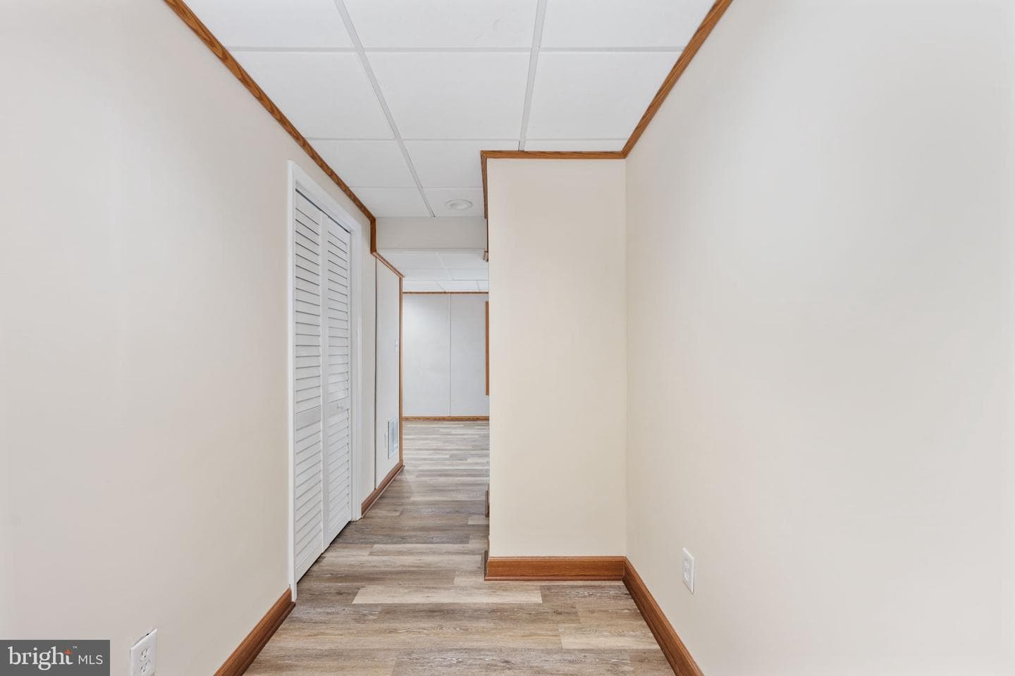 8 Newport Court photo 59