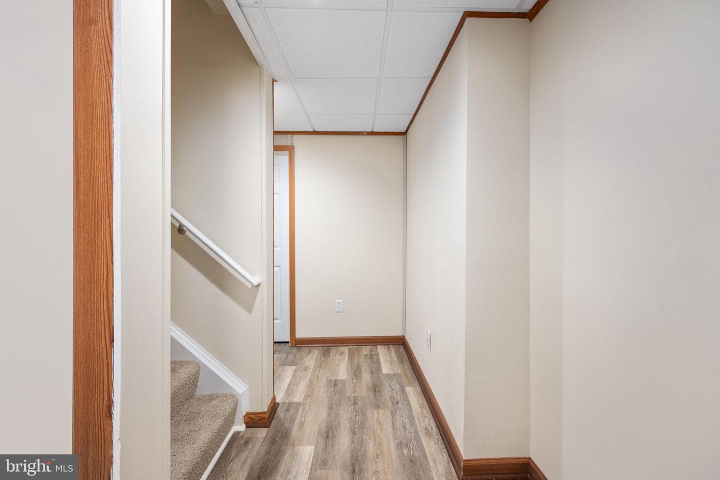 8 Newport Court photo 61