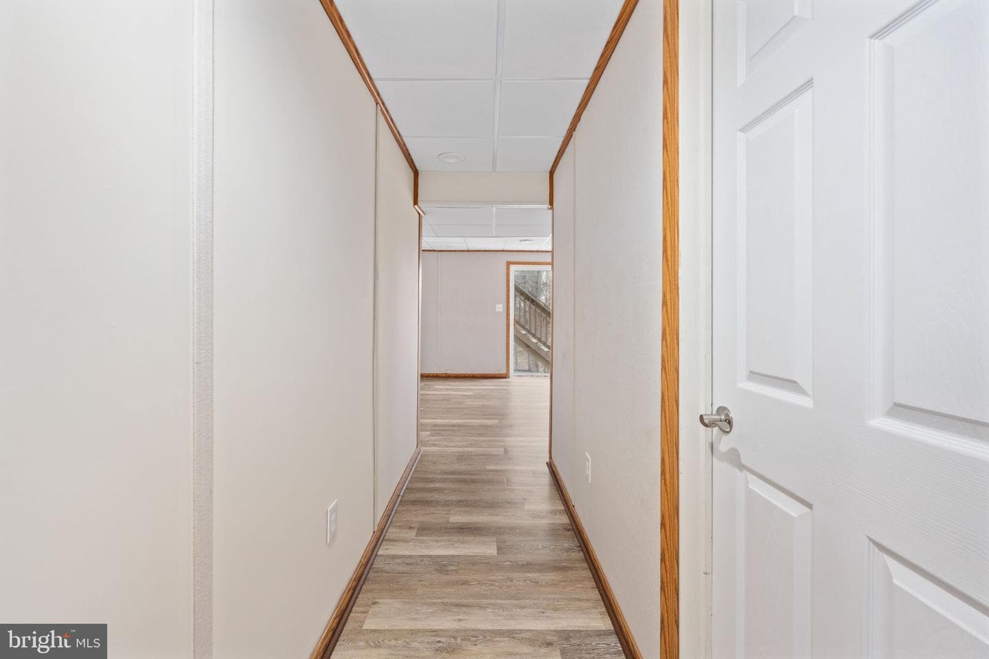 8 Newport Court photo 62